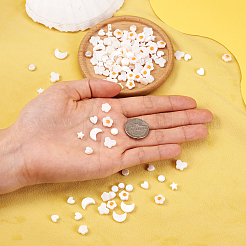 160шт 8 стиля натуральные пресноводные бусины из ракушек SHEL-TA0001-08