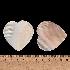 Natürliche Süßwasser Muschel Cabochons&nbsp;SHEL-C010-10A