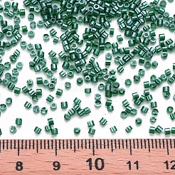 GlasZylinderförmigperlen&nbsp;SEED-S047-G-008