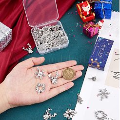 Подвески из сплава в тибетском стиле&nbsp;FIND-SC0004-77