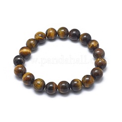 Tigre naturel bracelets extensibles de talon de l'oeil&nbsp;BJEW-K212-A-028