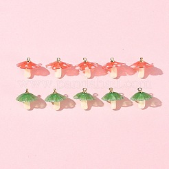 10шт 2 цвета пластиковые подвески KY-FS0001-32