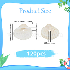 120шт натуральные пресноводные бусины из ракушек&nbsp;BSHE-PA0001-04