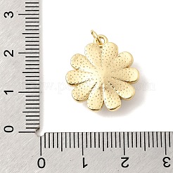 Pendentifs en laiton&nbsp;KK-Z160-12G