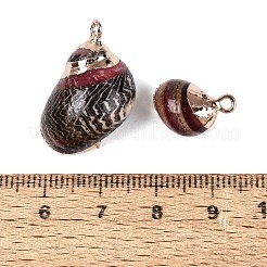 Galvanische natürliche Spiralschalenanhänger&nbsp;SSHEL-Q100-47G