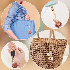 3 pièce 3 styles de décorations pendentifs en coquillage naturel&nbsp;HJEW-GA00077