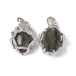 Природные подвески лабрадорита&nbsp;G-P484-03P-06