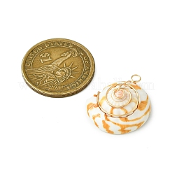 Подвески из натуральной ракушки-глаза Шивы PALLOY-TA00185