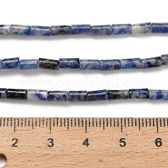 Натуральное синее пятно нитки из бисера яшмы G-P600-B05-01