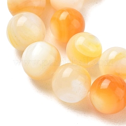 Naturali giallo perline shell fili&nbsp;SH-CBACA76-16C