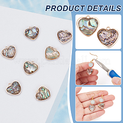 12 Stück Messing Pavé Paua Muschel Herz Charms&nbsp;FIND-BC0013-84B