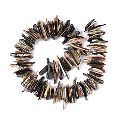 Природные пауа бусы нити SHEL-T020-42