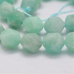 Естественно амазонит шарик нити G-G970-10-10mm