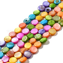 Chapelets de perles de coquille d'eau douce naturelle teinte, plat rond, colorées, 6x2mm, Trou: 0.5mm, Environ 62 pcs/chapelet, 15.16 pouce (38.5 cm)