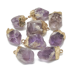 Electroplate Natural Amethyst Pendants, with Brass Findings, Nuggets, Golden, 22~40x14~30x11~22mm, Hole: 1.5mm