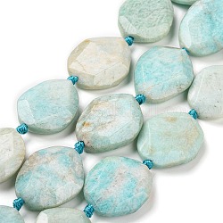 Chapelets de perles en amazonite naturelle, ovale, facette, 29~31x22~24x7~8mm, Trou: 2mm, Environ 11~12 pcs/chapelet, 15.7 pouce (40 cm)