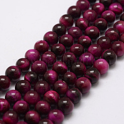 Chapelets de perles en œil de tigre naturelle, ronde, teints et chauffée, support violet rouge, 6mm, Trou: 1.2mm, Environ 63 pcs/chapelet, 14.9 pouce ~ 15.5 pouces