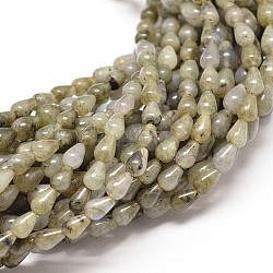 Natural Labradorite Drop Bead Strands, 7~8x5~6mm, Hole: 1mm, about 49~57pcs/strand, 16inch
