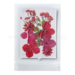 Fiori secchi pressati, per cellulare, photo frame, scrapbooking fai da te e resina arte decori floreali, 120x85x0.3mm