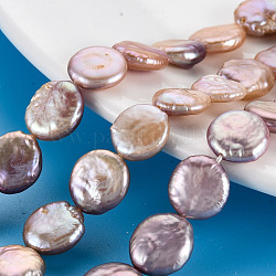 Naturales keshi abalorios de perlas hebras, perla cultivada de agua dulce, plano y redondo, lavanda, 11~14x11~12x4~5mm, agujero: 0.6 mm, aproximamente 31~34 pcs / cadena, 14.57~15.35 pulgada (37~39 cm)