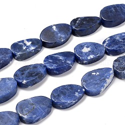 Chapelets de perles en sodalite naturelle, mat, larme, 19~21x14~15x5~6mm, Trou: 1mm, Environ 20~22 pcs/chapelet, 15.75 pouce (40 cm)