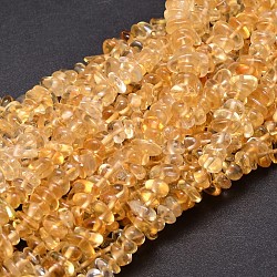 Natürliche Citrin Chip-Perlen-Stränge, gefärbt und erhitzt, 5~14x4~10 mm, Bohrung: 1 mm, ungefähr 15.5 Zoll ~ 16.1 Zoll