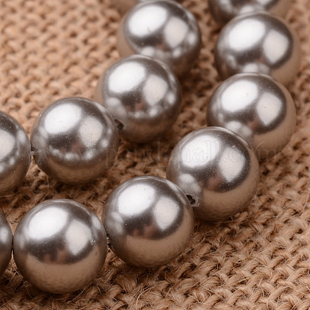 Polished Round Grade A Shell Pearl Bead Strands BSHE-M027-6mm-26-1