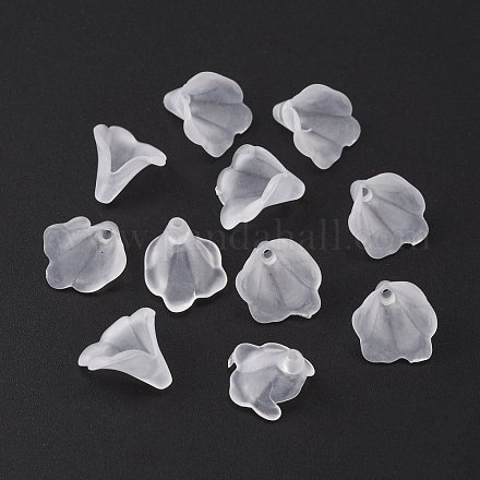 Perles en acrylique transparente X-PL620-1-1