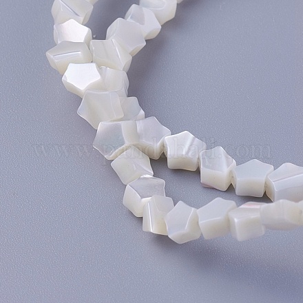 Chapelets de perles de coquillage SSHEL-E571-27A-1