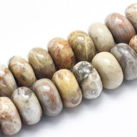 Fossiles naturelle perles de corail brins G-K256-10F-1