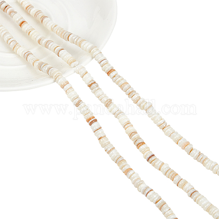 Nbeads 3 fili fili di perline di conchiglia naturali SSHEL-NB0001-44A-1