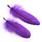 Goose Feather Costume Accessories, Dyed, Blue Violet, 160~215x36~47mm
