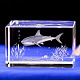 Figurina di vetro animale con incisione laser 3d DJEW-R013-01B-1