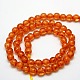 Buddhist Jewelry Beaded Findings Resin Imitation Amber Round Bead Strands RESI-L002-10mm-G014-3
