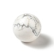 Natürliche Howlith Perlen G-A206-02-27-2