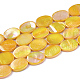 Freshwater Shell Beads Strands SSHEL-T007-19-2