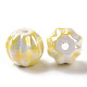 Perles de porcelaine perlées manuelles PORC-G010-02A-2