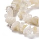 Bianco di chip pietra di luna fili di perline naturali X-G-M205-68-3