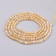 Natural Gold Rutilated Quartz Beads Strands G-F568-122-2mm-2