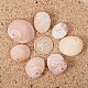 PH PandaHall 25pcs Snail Sea Shells with Hole Beach Seashells Natural Seashells for Candle Making SSHEL-PH0002-38-3