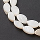 Eau douce naturelle de coquillage perles brins BSHE-E028-03-4