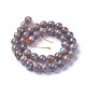 Electroplate Natural Sunstone Beads Strands G-F627-03-D02-2