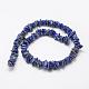 Natural Lapis Lazuli Beads Strands G-F521-18-2