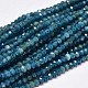Faceted Rondelle Natural Apatite Bead Strands G-F289-48A-1