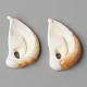 Natural Cowrie Shell Pendants SSHEL-N032-06-2