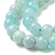 Natural Amazonite Round Beads Strands G-A025-01A-4