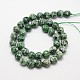 Natürliche grüne Fleck Jaspis Perlen Stränge G-L148-10mm-01-2