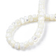 Coquille de trochid naturel / brins de perles de coquille de trocas SSHEL-N034-133B-4
