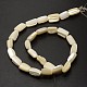 Rectangle Natural Spiral Shell Beads Strands SHEL-E355-01-3