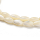 Нити бусин из натуральных трохоидных/трохус ракушек PBB513Y-3